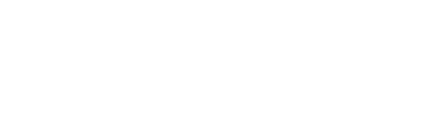 Finadium-logo